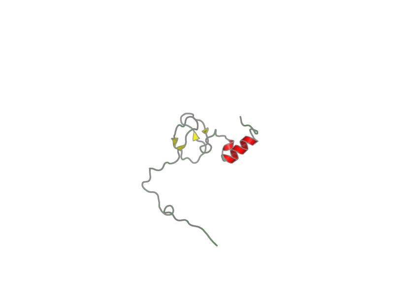 Ribbon image for 2ct7