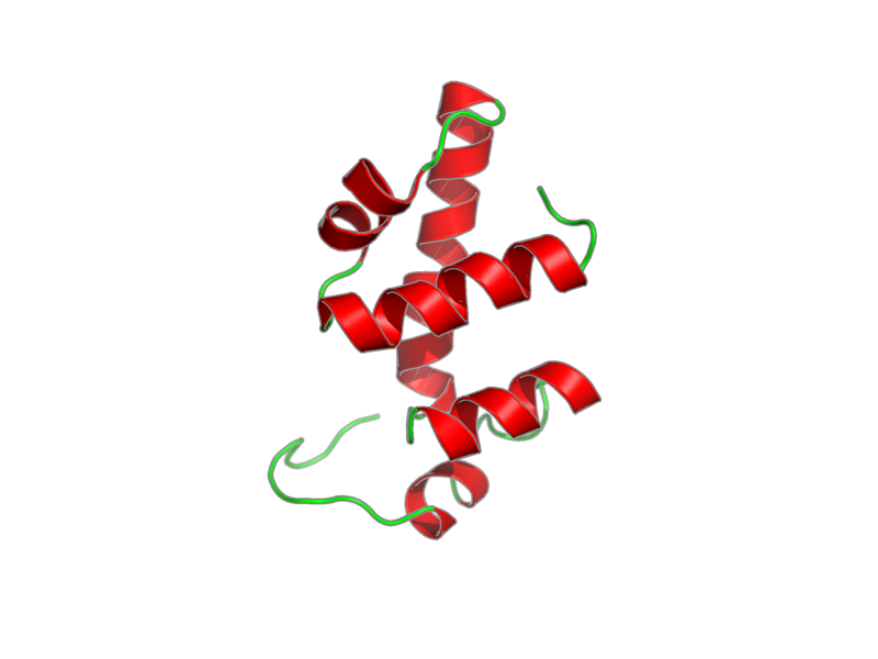 Ribbon image for 2elj