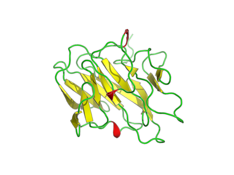 Ribbon image for 2e63