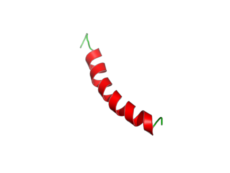Ribbon image for 2rri