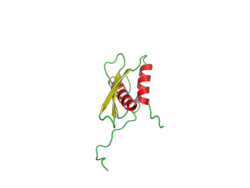 Ribbon image for 2rs6