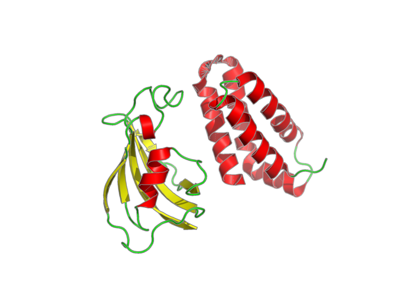 Ribbon image for 2rse