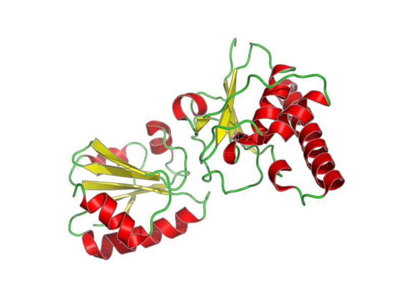 Ribbon image for 2ipa