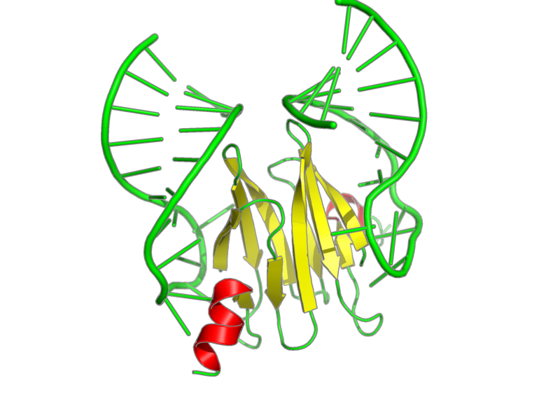 Ribbon image for 2jpp