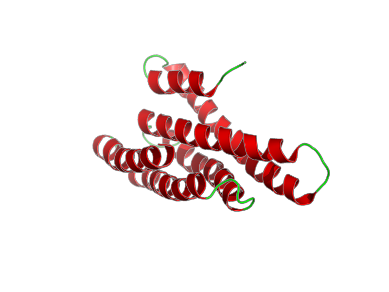 Ribbon image for 2jqq