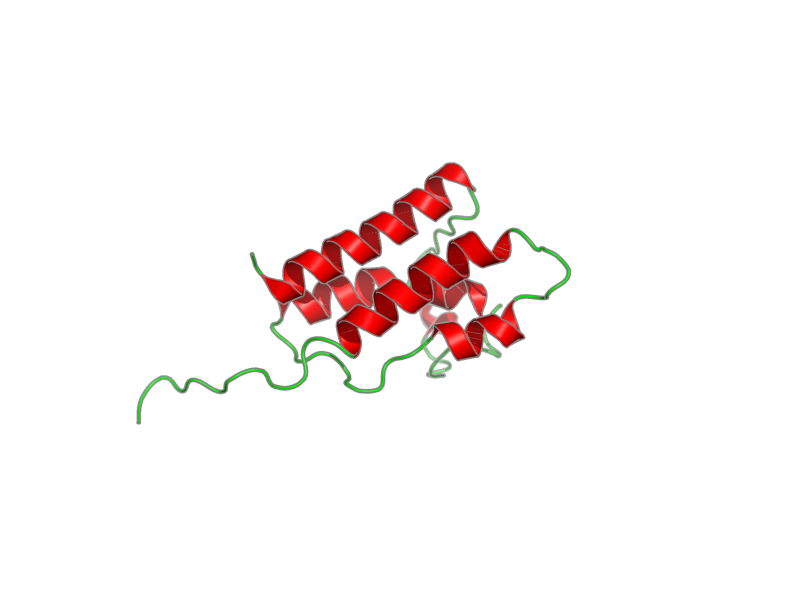Ribbon image for 2hgk