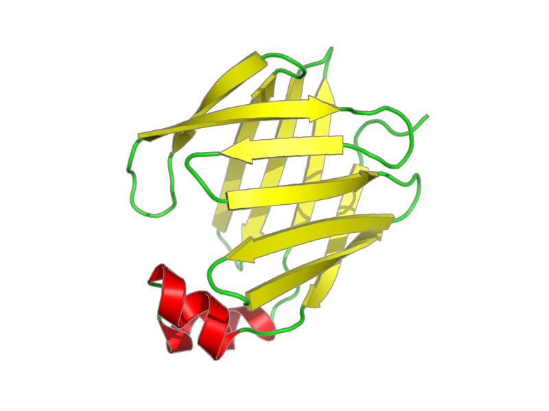 Ribbon image for 2ju8
