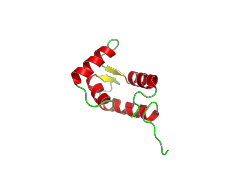 Ribbon image for 2lc5