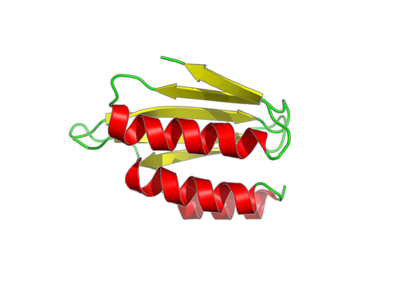 Ribbon image for 2k24