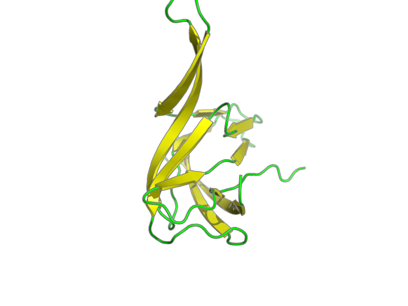 Ribbon image for 2k6w