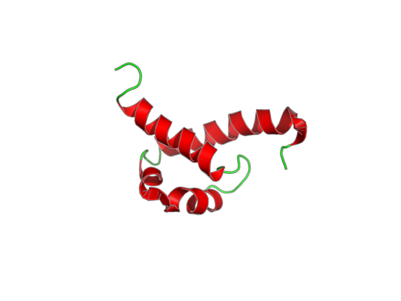 Ribbon image for 2kis