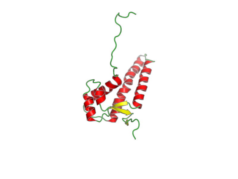 Ribbon image for 2kkm