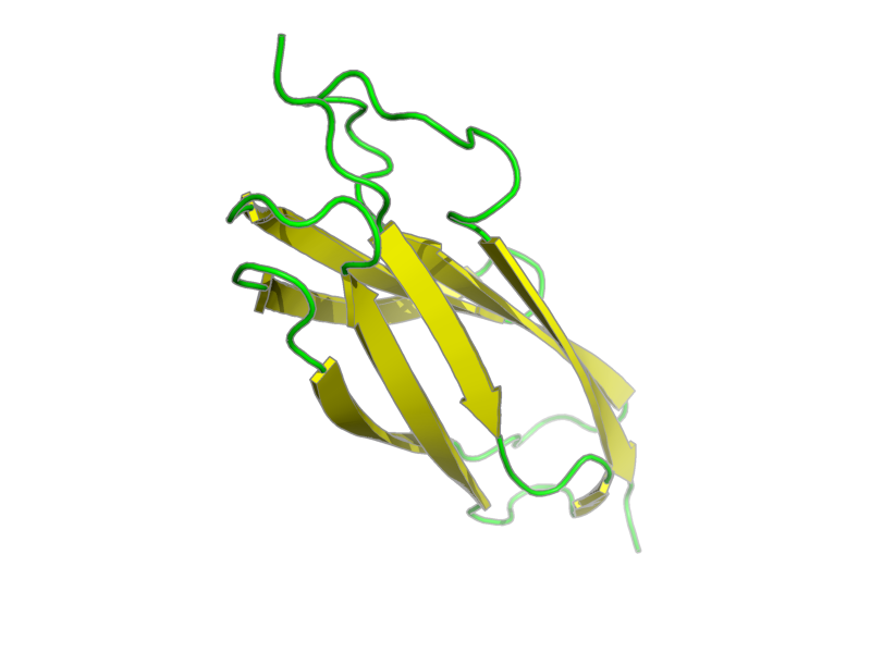 Ribbon image for 2kl6