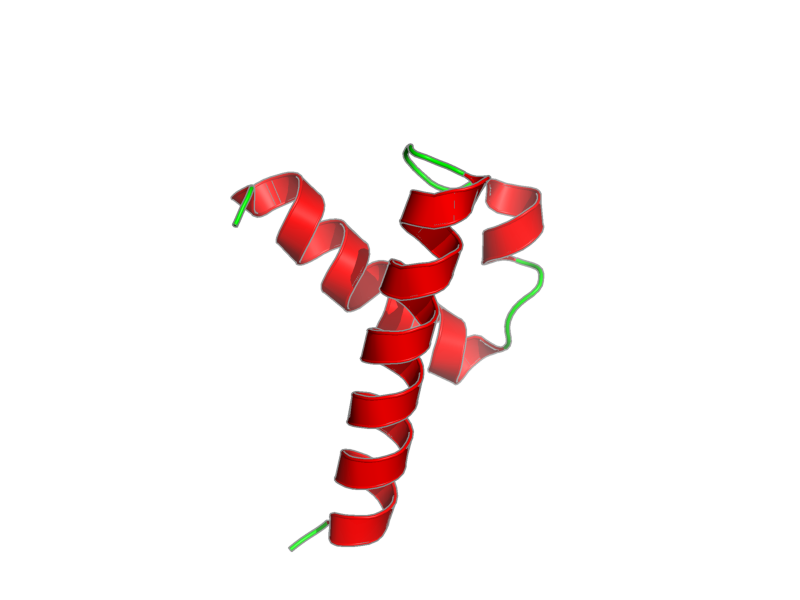 Ribbon image for 2kmu