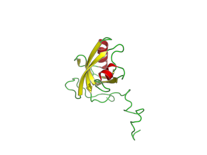 Ribbon image for 2kpk