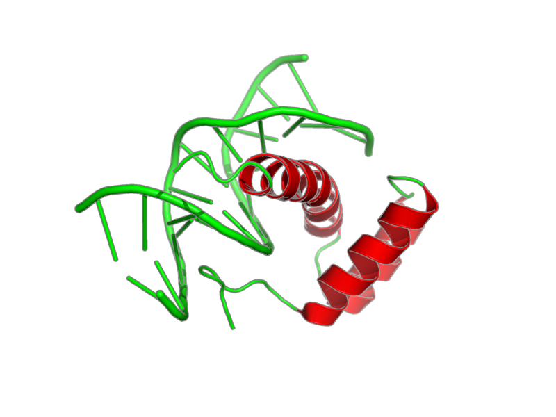 Ribbon image for 2ld5