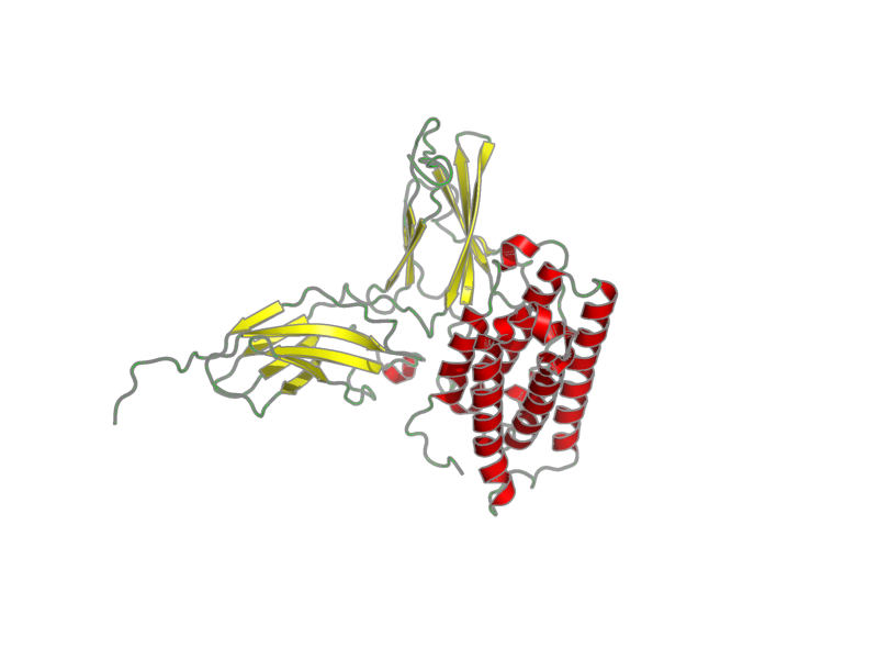 Ribbon image for 2lag
