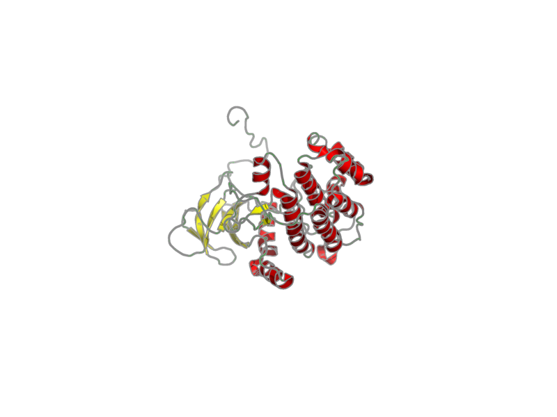 Ribbon image for 2lav