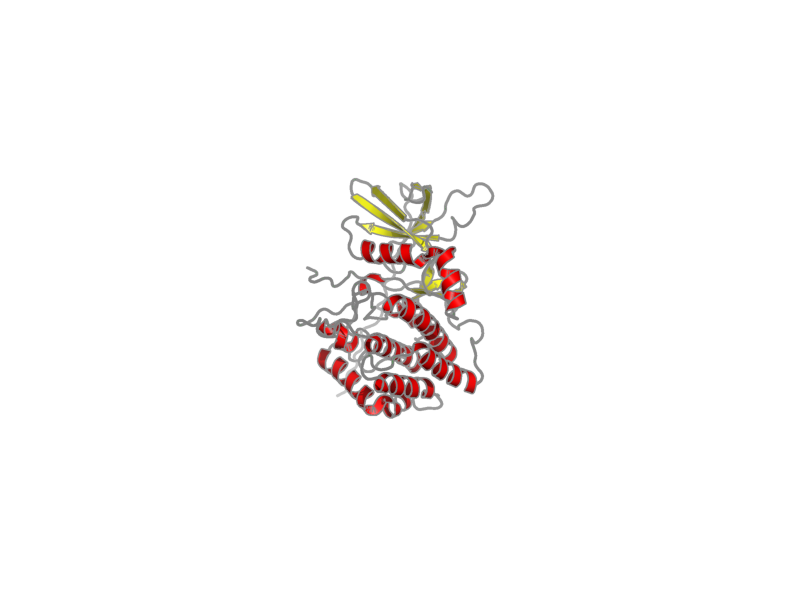 Ribbon image for 2kul