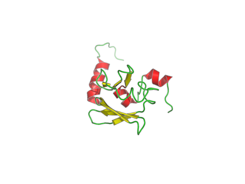 Ribbon image for 2x8n