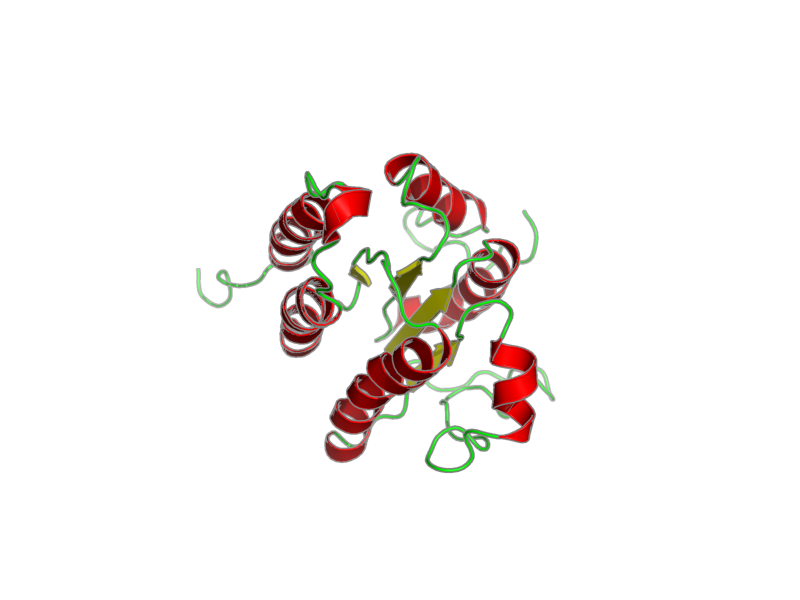 Ribbon image for 2l8b