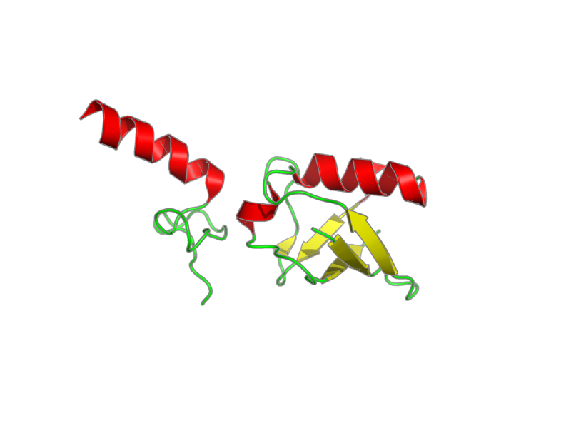Ribbon image for 2l00