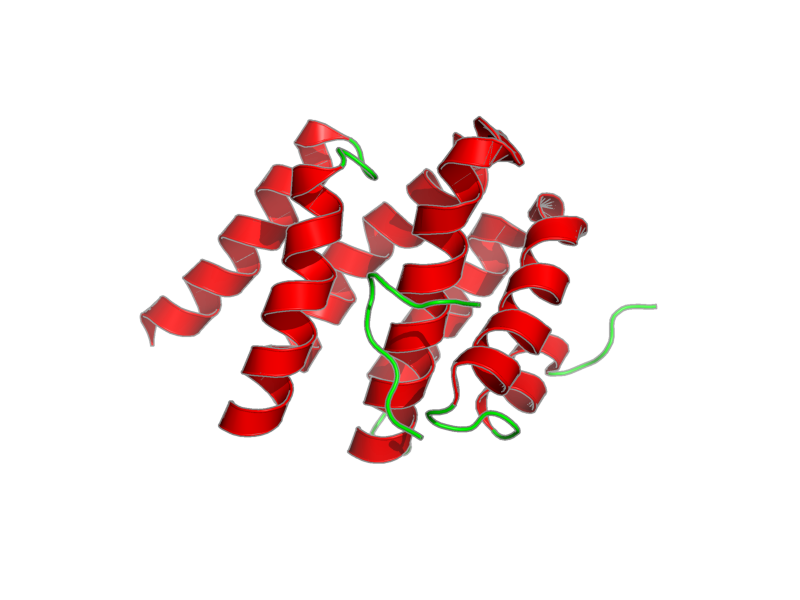 Ribbon image for 2l0i