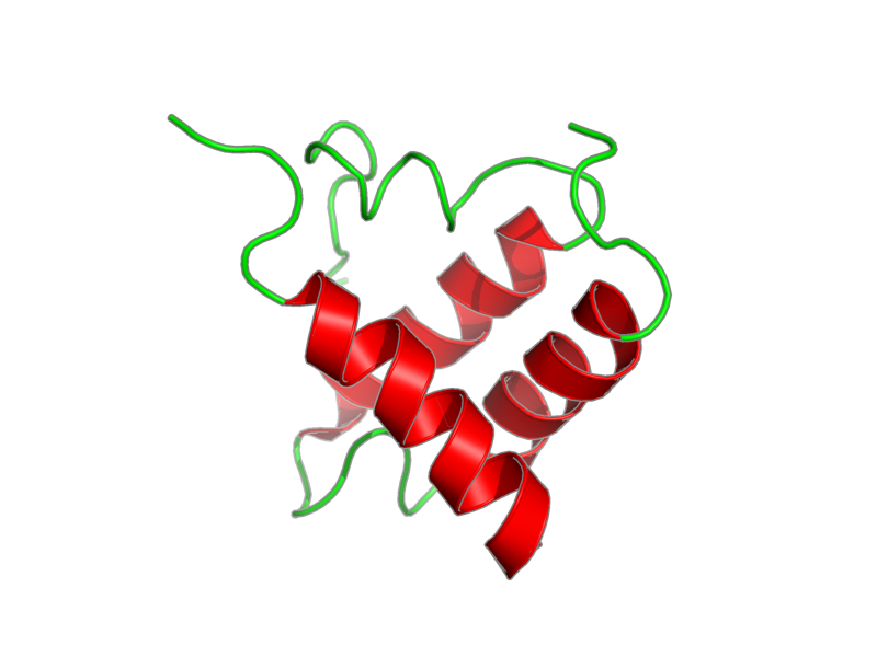 Ribbon image for 2l0y