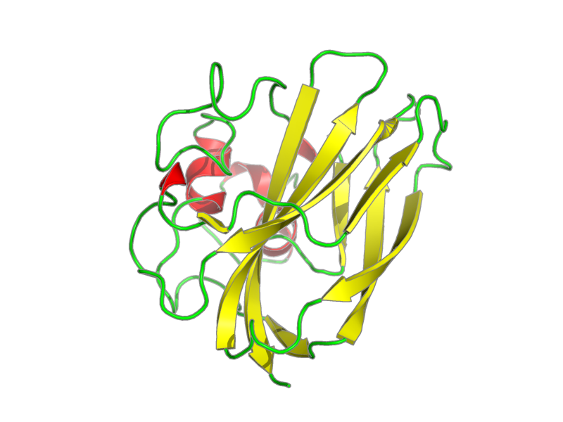 Ribbon image for 2lhs