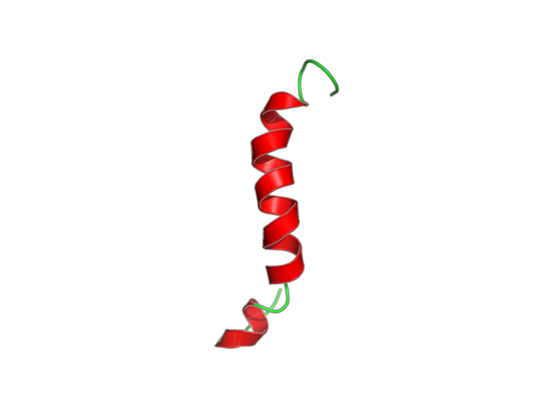 Ribbon image for 2l63