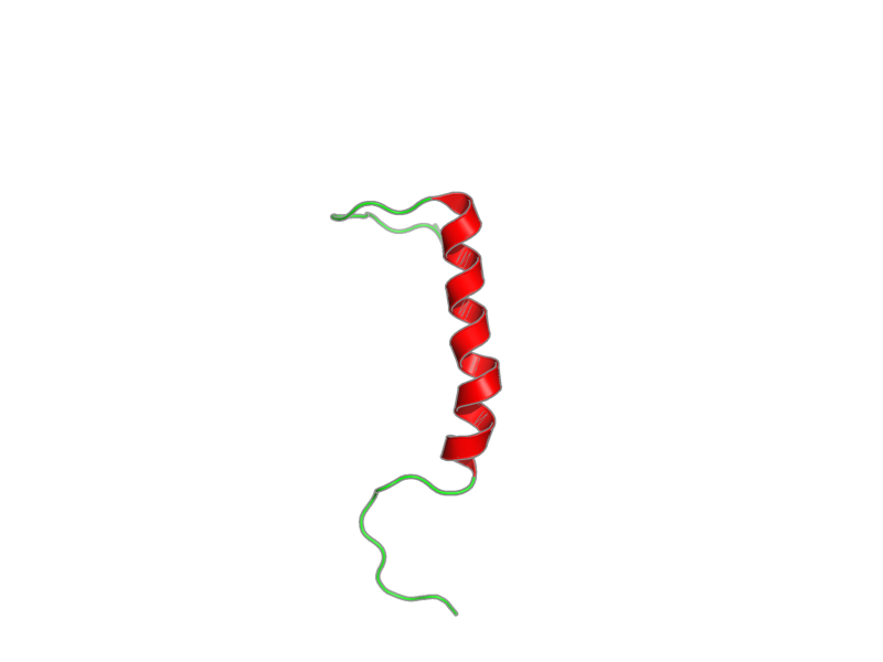 Ribbon image for 2l79