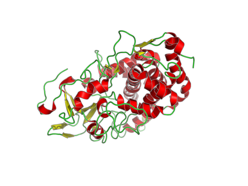 Ribbon image for 2lqd