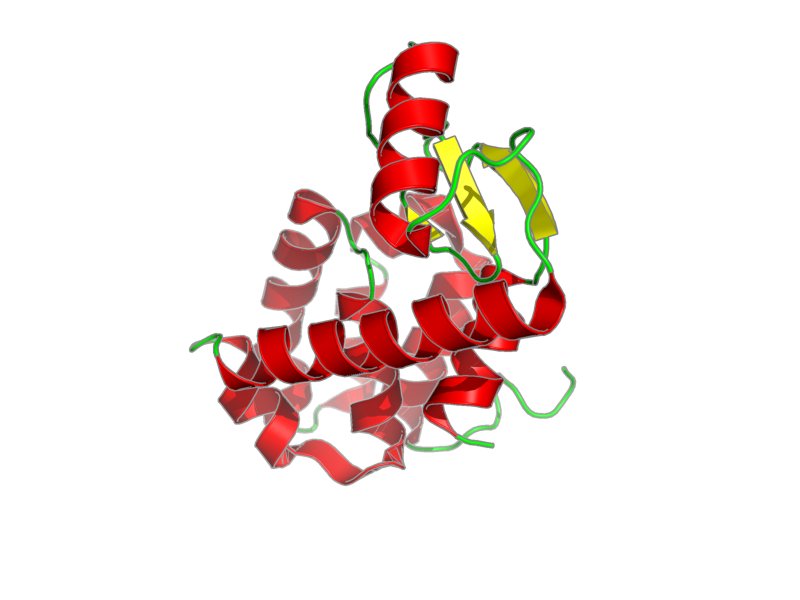 Ribbon image for 2lc9