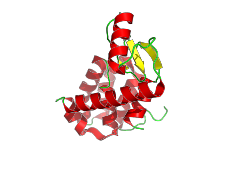 Ribbon image for 2lcb
