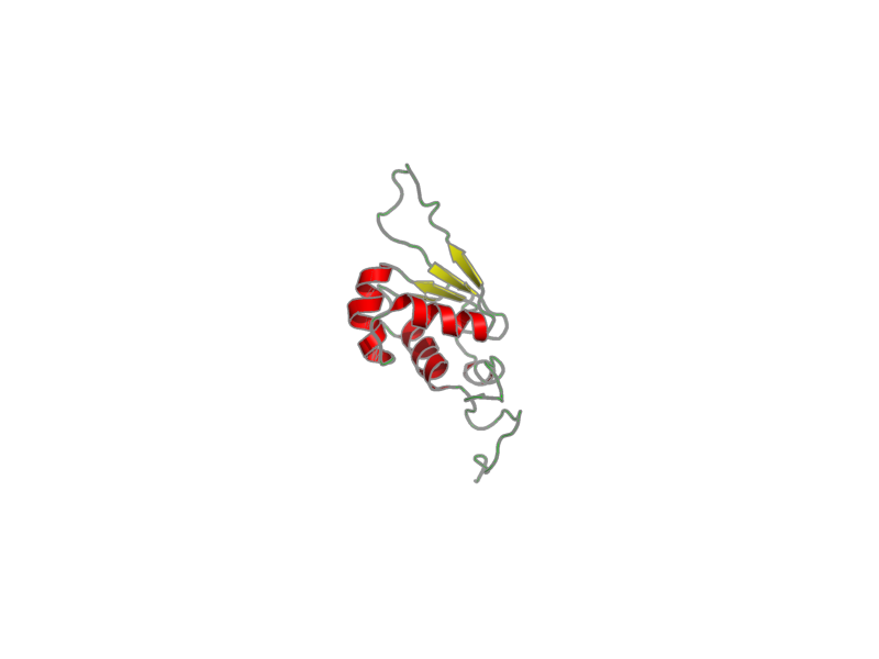 Ribbon image for 2ldu