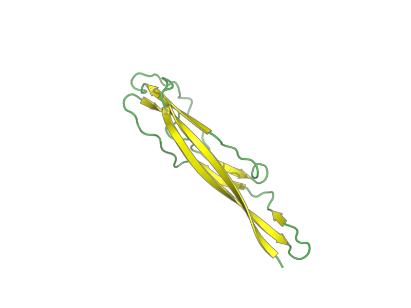 Ribbon image for 2lfi