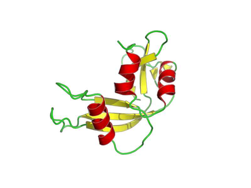 Ribbon image for 2lfj