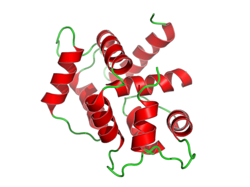 Ribbon image for 2lgf