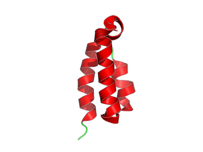 Ribbon image for 2lhg