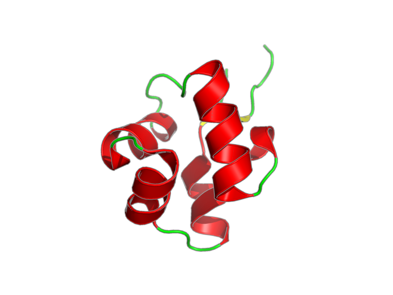 Ribbon image for 2lyp