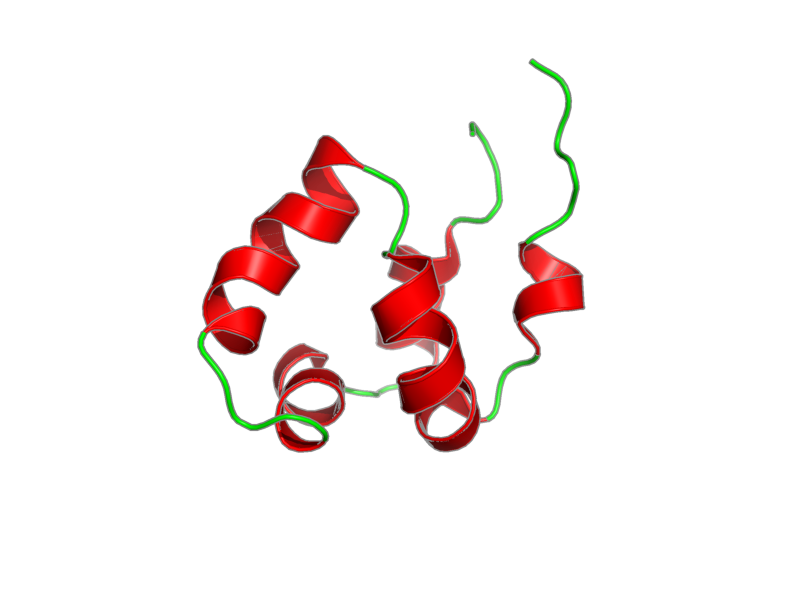 Ribbon image for 2lyr