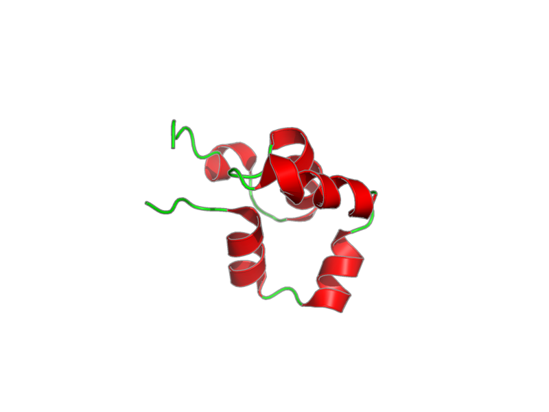 Ribbon image for 2lys