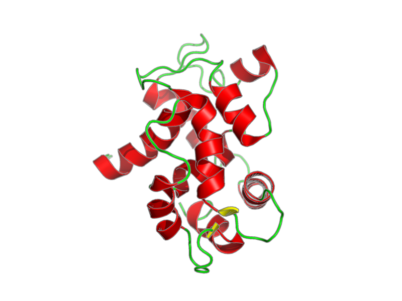 Ribbon image for 2ll7