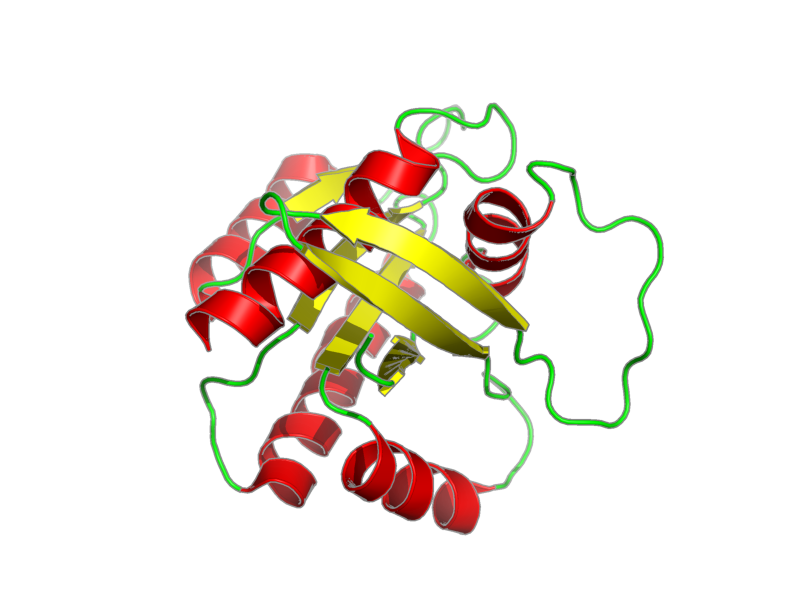 Ribbon image for 2lwi