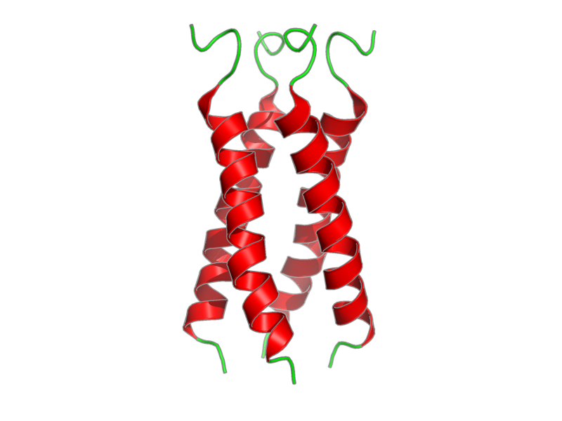 Ribbon image for 2ly0
