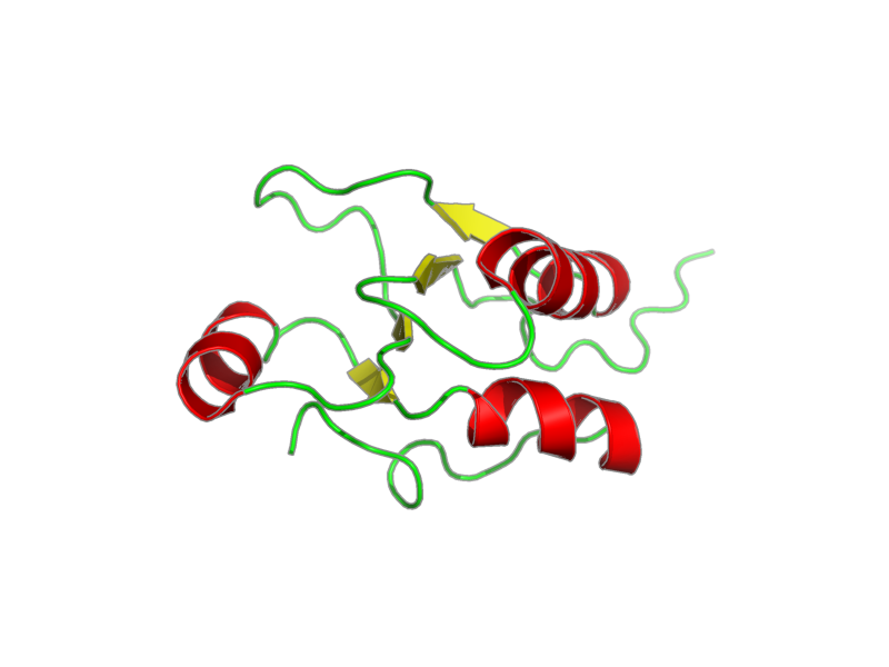 Ribbon image for 2m2i