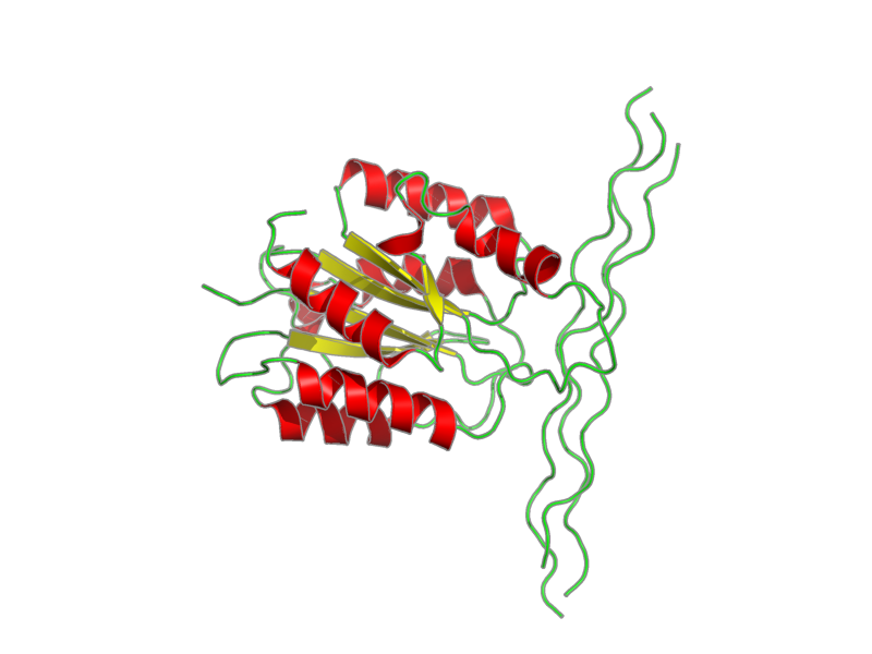 Ribbon image for 2m32