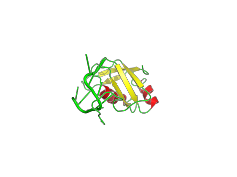 Ribbon image for 2m8d