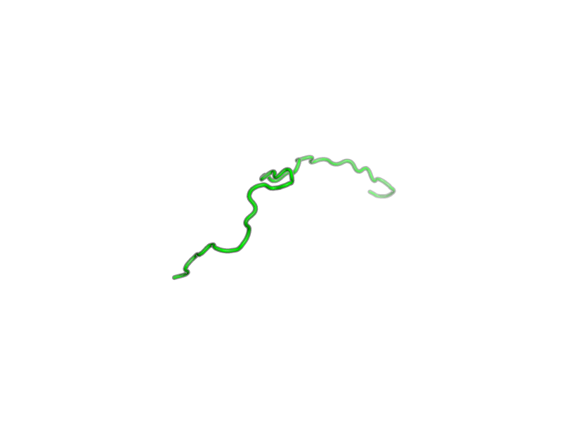 Ribbon image for 2m9r