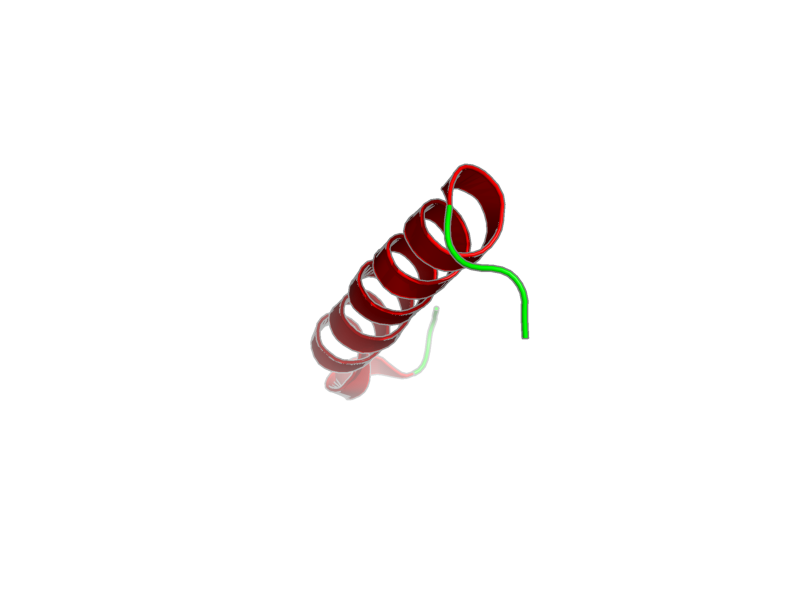 Ribbon image for 2mc7